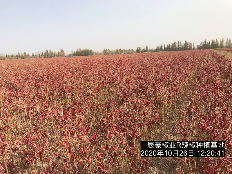 欧洲杯(外围)下单平台·官方网站_活动320